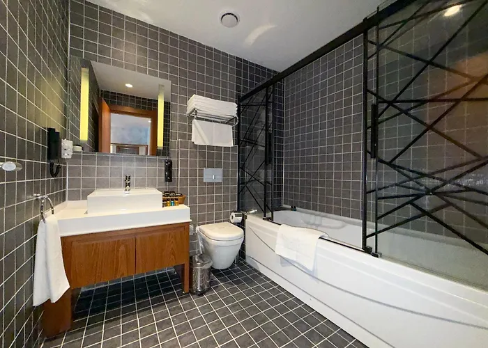 Hotel Alsancak Prime Konya 3*