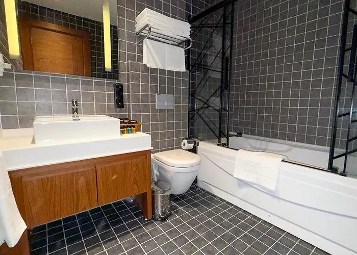 Hotel Alsancak Prime Konya 3*